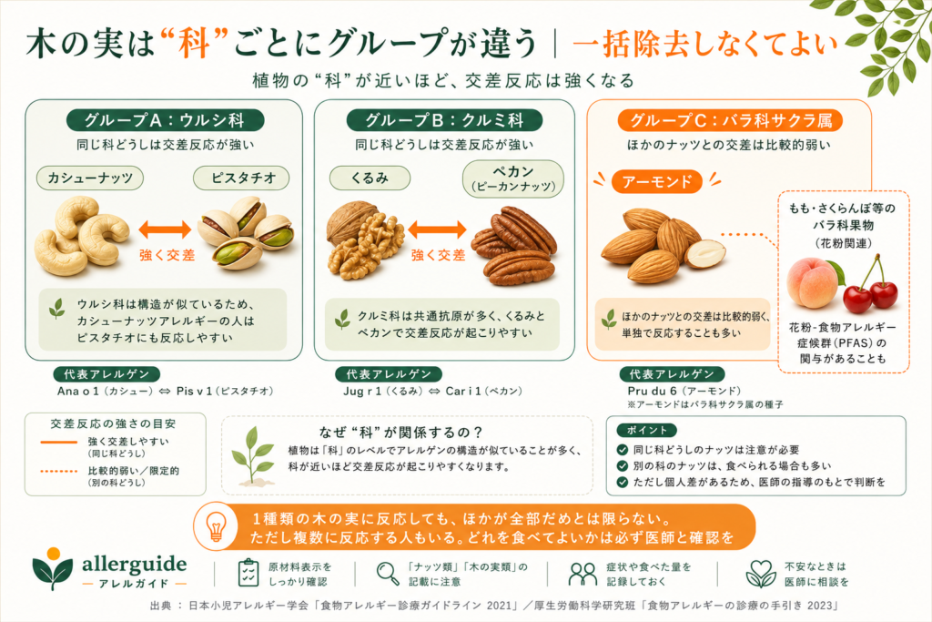 木の実の科ごとの交差反応マップ