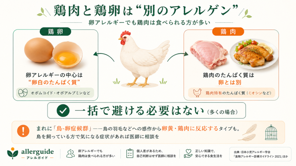 鶏肉と鶏卵は別のアレルゲンであることを示す図