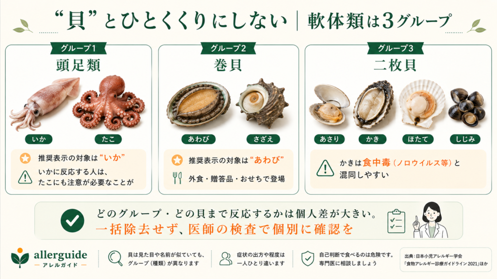 軟体類を頭足類・巻貝・二枚貝の3グループに分類した図
